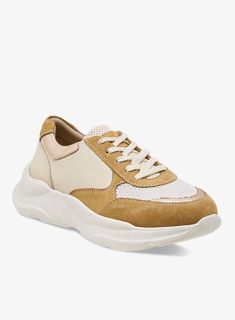 بابريكا سنيكرز ملون برباط