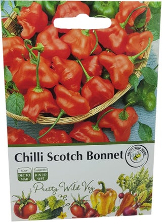Chilli Scotch Bonnet Seeds in Pictorial Packet from a UK Seller Perennial Hot Pepper Variety - pzsku/Z03CEB39560D8A048B635Z/45/1746371689/9e214c05-6a66-4012-b38f-bea94b8cd794