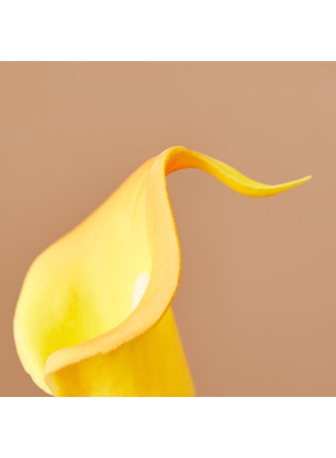 أريا جذع زنبق البولي يوريثان 36 سم - Image 3