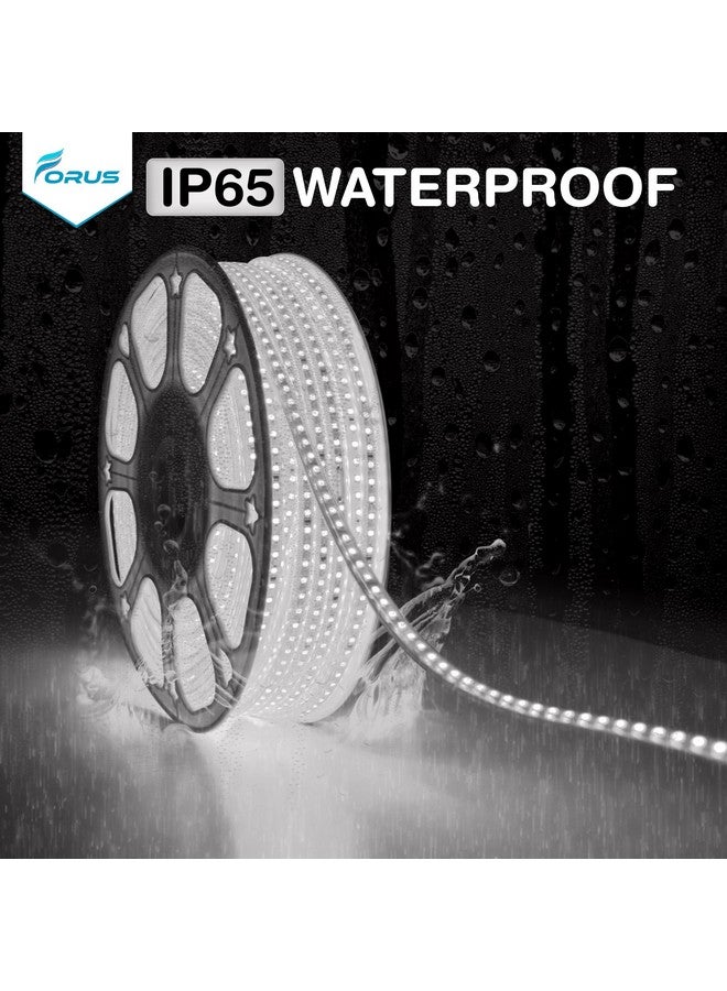Forus LED Rope Light 5 Meter 2 Year Warranty, Outdoor Waterproof Decorative Cove Lights for Ceiling, Balcony, Home Decor, Interior Decoration, Flexible Profile Light for Diwali, Christmas - Cool - Image 5