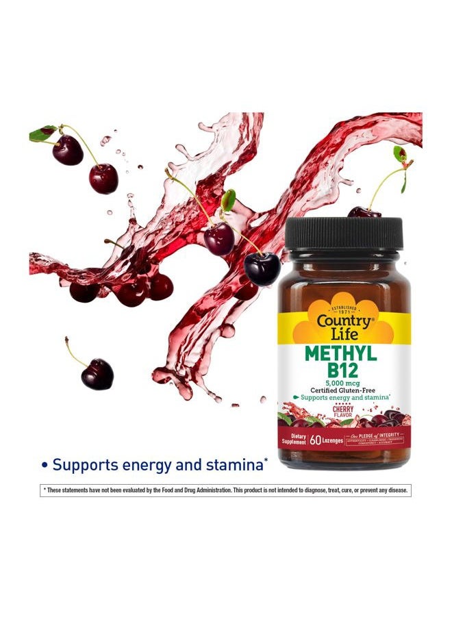 Country Life Methyl B12, Supports Energy & Stamina, 5,000mcg, 60 Lozenges, Certified Gluten Free, Certified Vegan, Certified Non-GMO Verified  - Image 2