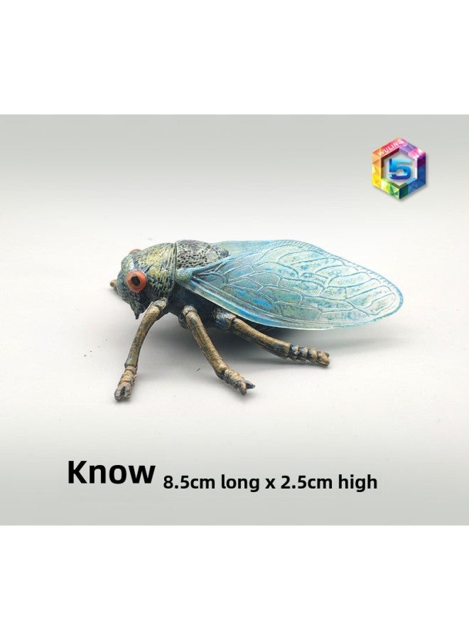 Simulation Animal Insect Model Cognitive Toy Spider Butterfly Bee Cockroach Caterpillar And Other Animal Model Toy-Color:1455 Is Known  - Image 1