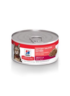 Adult 16, Adult 16 Premium Nutrition, Wet Cat Food, Salmon Minced, 5.5 Oz Can, Case Of 24
