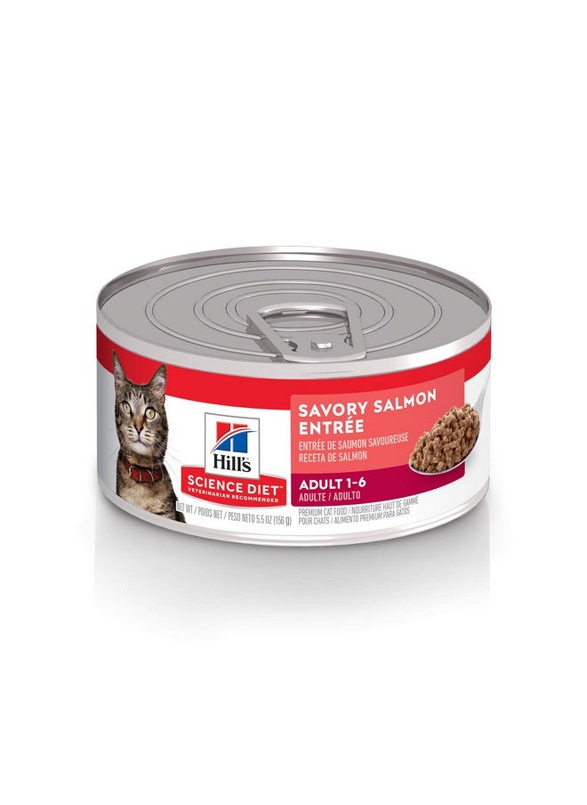 Hill's Science Diet - Adult 16, Adult 16 Premium Nutrition, Wet Cat Food, Salmon Minced, 5.5 Oz Can, Case Of 24 - Image 1