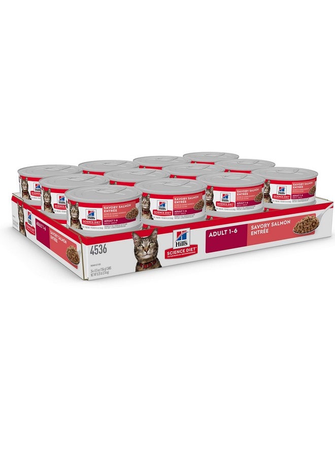 Hill's Science Diet - Adult 16, Adult 16 Premium Nutrition, Wet Cat Food, Salmon Minced, 5.5 Oz Can, Case Of 24 - Image 1