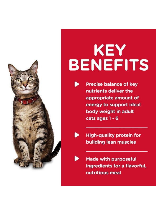 Hill's Science Diet - Adult 16, Adult 16 Premium Nutrition, Wet Cat Food, Salmon Minced, 5.5 Oz Can, Case Of 24 - Image 1