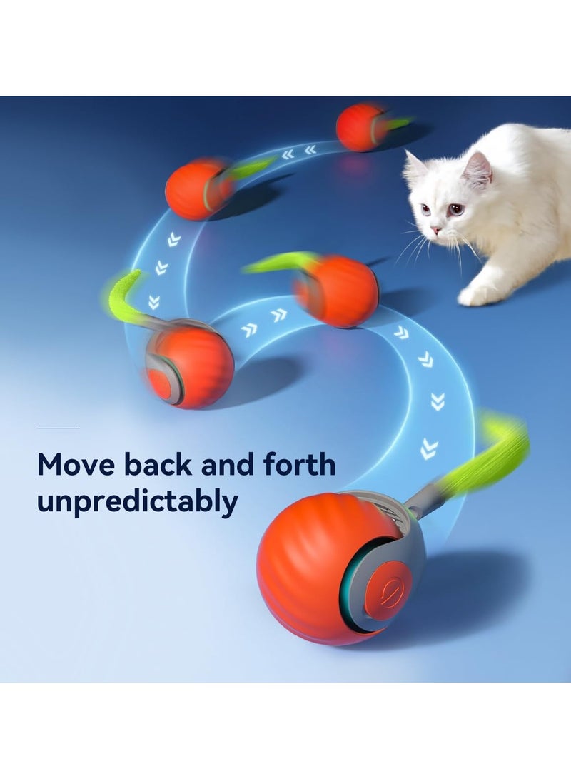 Speedy Tail 2.0,Speedy Tail Cat Toy,2025 New Generation Interactive Cat Toy,Interactive Cat Toys for Indoor Cats,Automatic Moving Cat Toy Ball with Tail - Image 2