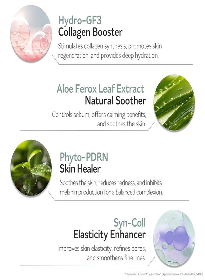 PESTLO PESTLE ROAD PESTLO Rejurecipe Spicule Roller Serum 50ml (1.69 fl oz) - Exfoliating & Hydrating Serum with Spicule Technology, Phyto-PDRN for Face, Neck, Décolleté with Gua Sha - Image 4