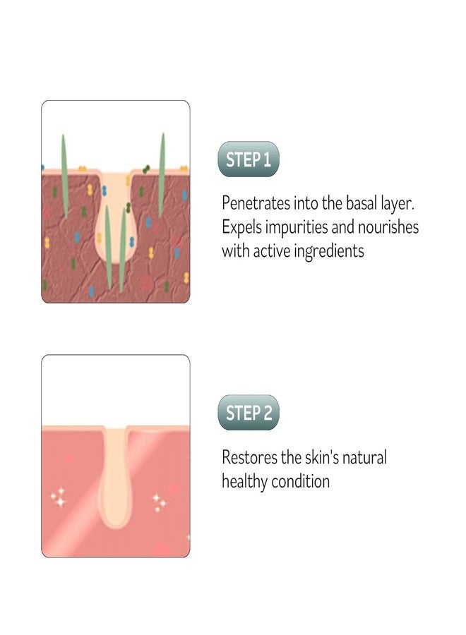 PESTLO PESTLE ROAD PESTLO Rejurecipe Spicule Roller Serum 50ml (1.69 fl oz) - Exfoliating & Hydrating Serum with Spicule Technology, Phyto-PDRN for Face, Neck, Décolleté with Gua Sha - Image 5