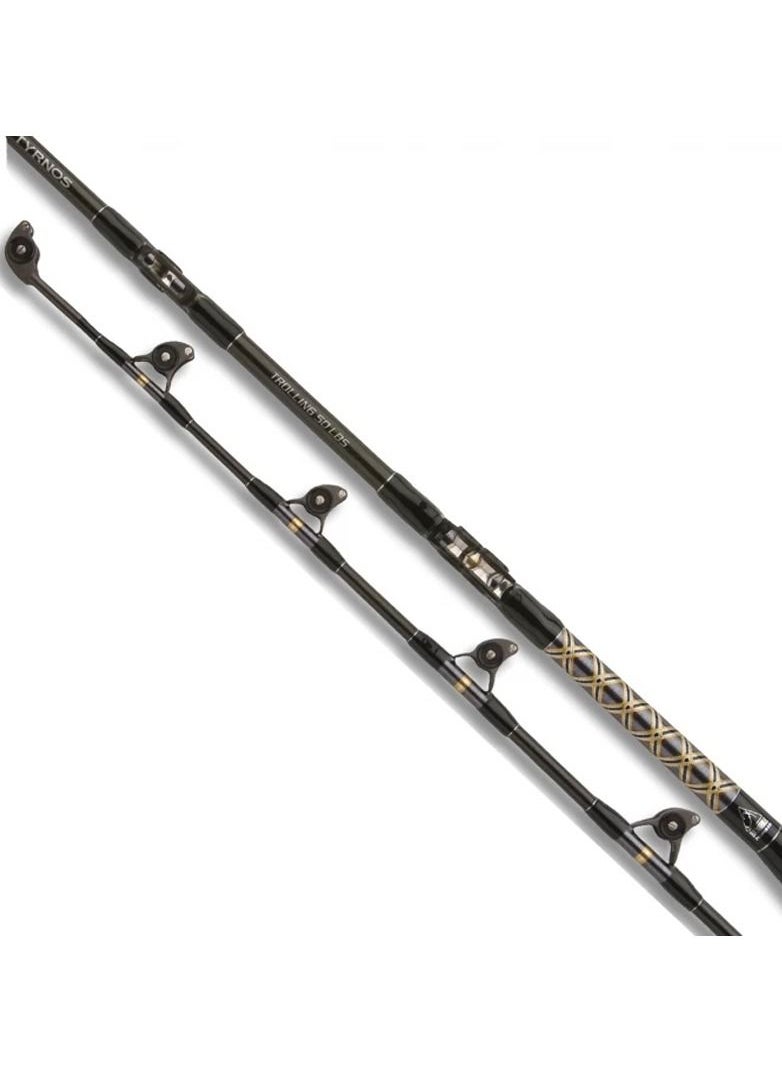 SHIMANO - Tyrnos Trolling 30 Lbs - Image 1