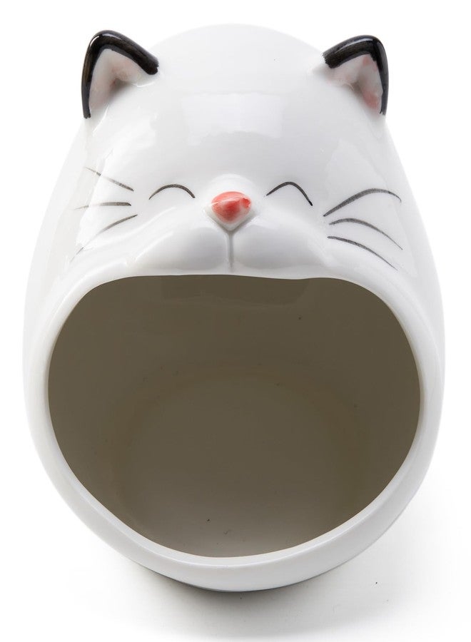 FAQQI Ceramic Cat Sponge Holder for Kitchen Sink - Cute Sponge Holder and Novelty Kitchen Gadgets - Unique Kitchen Items and Accessories for Fun and Functional Kitchen Organization - Image 1