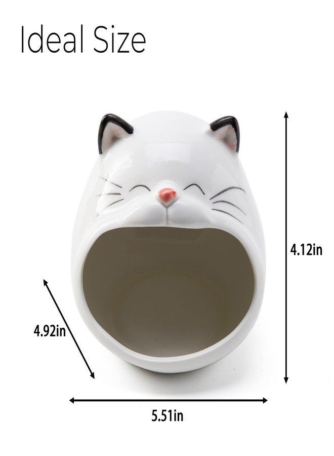 FAQQI Ceramic Cat Sponge Holder for Kitchen Sink - Cute Sponge Holder and Novelty Kitchen Gadgets - Unique Kitchen Items and Accessories for Fun and Functional Kitchen Organization - Image 2