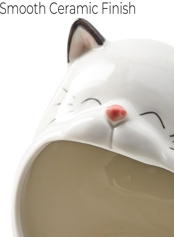 FAQQI Ceramic Cat Sponge Holder for Kitchen Sink - Cute Sponge Holder and Novelty Kitchen Gadgets - Unique Kitchen Items and Accessories for Fun and Functional Kitchen Organization - Image 3