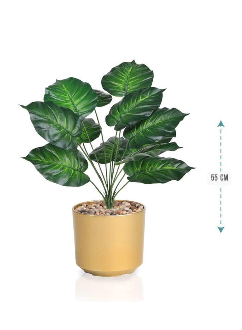 تالا شتلة صناعية خضراء بارتفاع 55 سم – مظهر طبيعي واقعي مع أصيص ذهبي أنيق يضفي فخامة على ديكور منزلك - Image 1