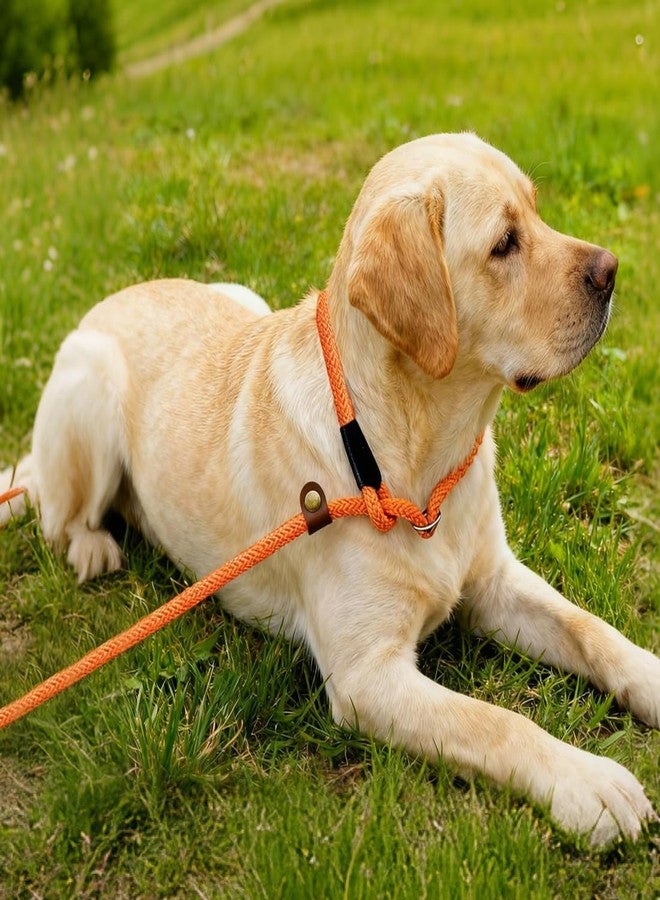 nets Tribe 6 FT Dog Leash for Large, Medium Dogs, Heavy Duty Dog Lead with Leather Tailor Connection, No Pull Training Lead Durable Rope Slip Leash, for Outside Walking, Playing, Camping, Yard (Orange) - Image 3