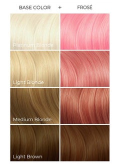ARCTIC FOX Vegan and Cruelty-Free Semi-Permanent Hair Color Dye (8 Fl Oz, FROSE)  - Image 3