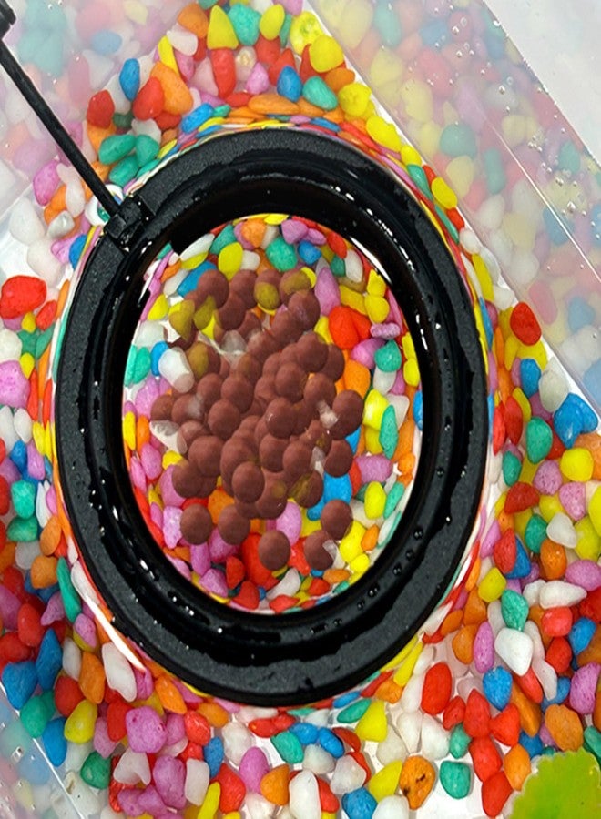 ماكسمورال مجموعة ماكسمورال المكونة من 4 قطع من حلقات تغذية أسماك الزينة السوداء، وهي عبارة عن مغذيات طعام عائمة لأسماك الزينة، مقاس 10 سم مربع و7.5 سم دائري - Image 5