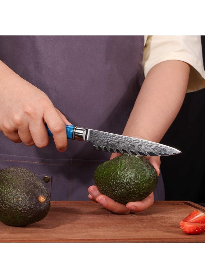 أوساويك سكين سكين دمشقي حاد الحافة VG10 صلب مع 66 طبقة من الفولاذ العالي الكربون -مقبض أزرق مريح -سكين فواكه صغير - Image 4
