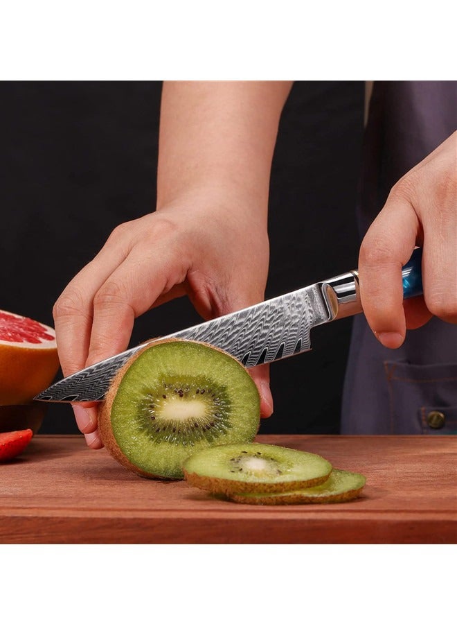 أوساويك سكين سكين دمشقي حاد الحافة VG10 صلب مع 66 طبقة من الفولاذ العالي الكربون -مقبض أزرق مريح -سكين فواكه صغير - Image 5