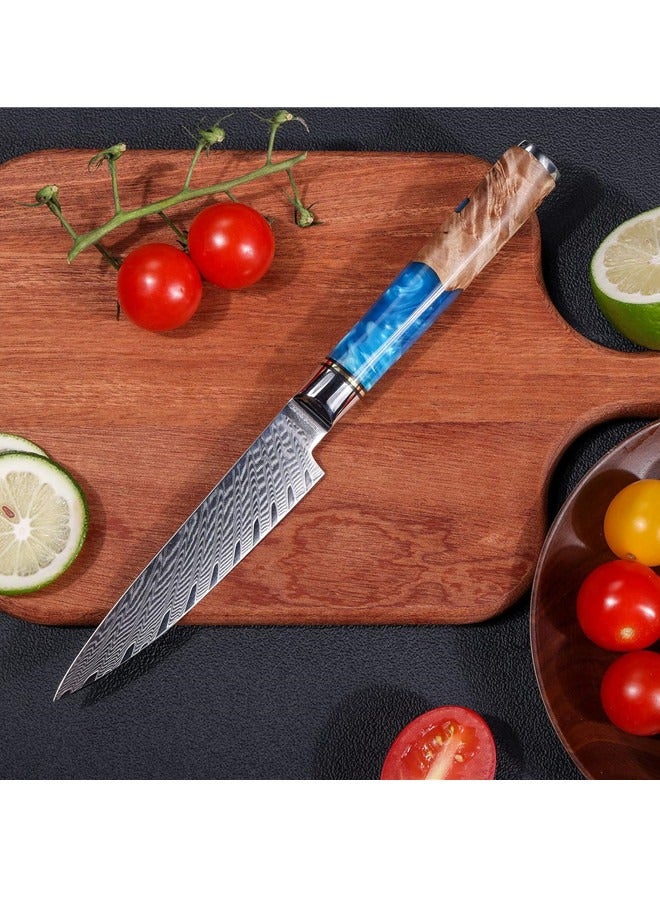 أوساويك سكين سكين دمشقي حاد الحافة VG10 صلب مع 66 طبقة من الفولاذ العالي الكربون -مقبض أزرق مريح -سكين فواكه صغير - Image 3