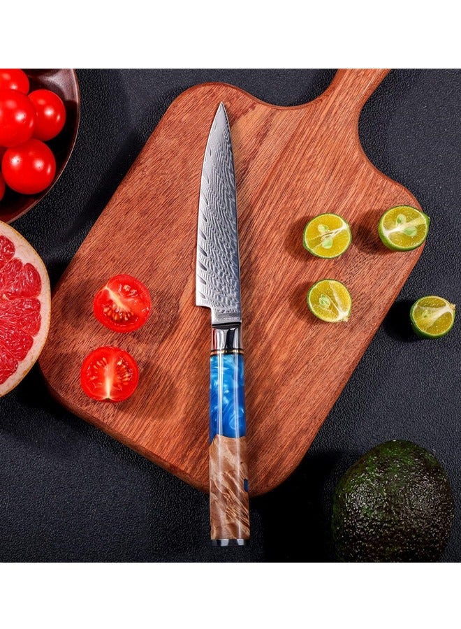 أوساويك سكين سكين دمشقي حاد الحافة VG10 صلب مع 66 طبقة من الفولاذ العالي الكربون -مقبض أزرق مريح -سكين فواكه صغير - Image 2