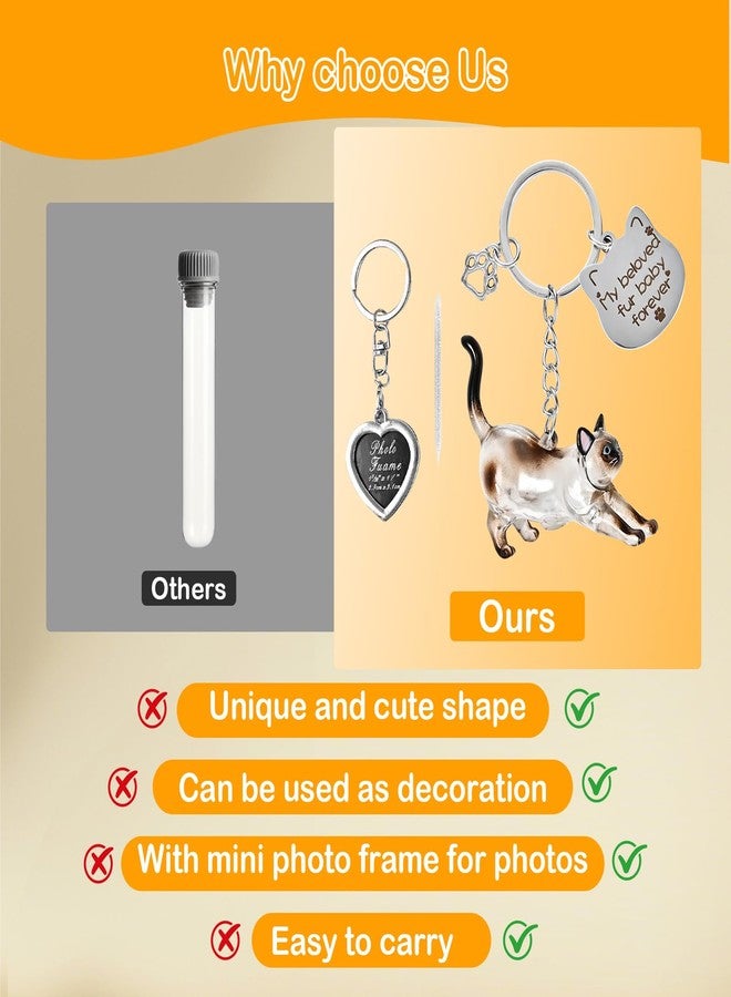 howaukf 1 Set Cat Hair Storage and Photo Frame Keychain, Pet Fur Keychain, Memory Locket, Pet Hair Memorial Keepsake, Cat Lover Collecting Gift (Siamese Style) - Image 3
