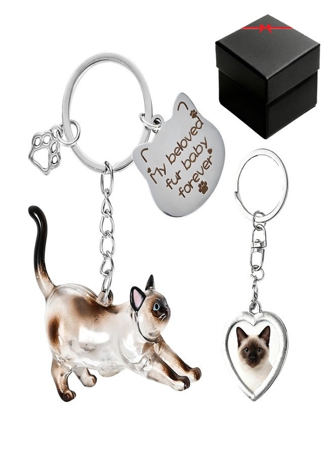 howaukf 1 Set Cat Hair Storage and Photo Frame Keychain, Pet Fur Keychain, Memory Locket, Pet Hair Memorial Keepsake, Cat Lover Collecting Gift (Siamese Style) - Image 1