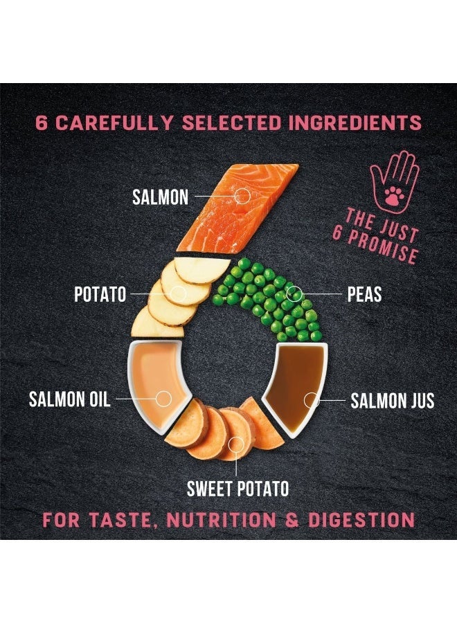 Harringtons Just 6 Salmon Grain Free Adult Dry Dog Food  2KG - Image 4