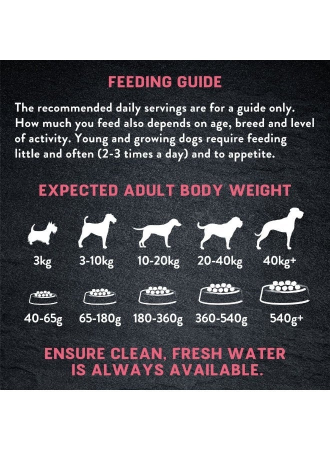 Harringtons Just 6 Salmon Grain Free Adult Dry Dog Food  2KG - Image 3