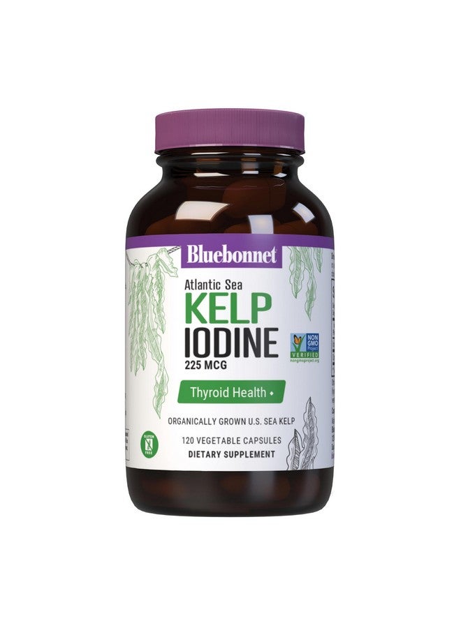 بلو بونيه Bluebonnet Nutrition Atlantic Sea Kelp Iodine 225 mcg - عشب البحر الأمريكي المزروع عضويًا - معتمد من مشروع الكائنات غير المعدلة وراثيًا، خالٍ من الجلوتين، خالٍ من الصويا، خالٍ من منتجات الألبان - 120 كبسولة نباتية - Image 1