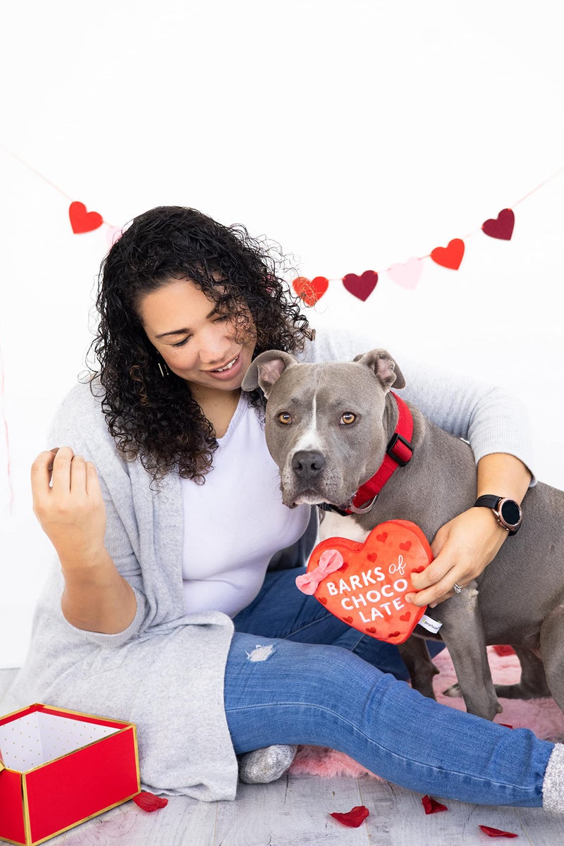 Pearhead Valentineâ€™s Day Plush Dog Toy â€“ Barks of Chocolate Box Squeaky & Crinkle Stuffed Dog Toy, Interactive for Dogs - Image 5