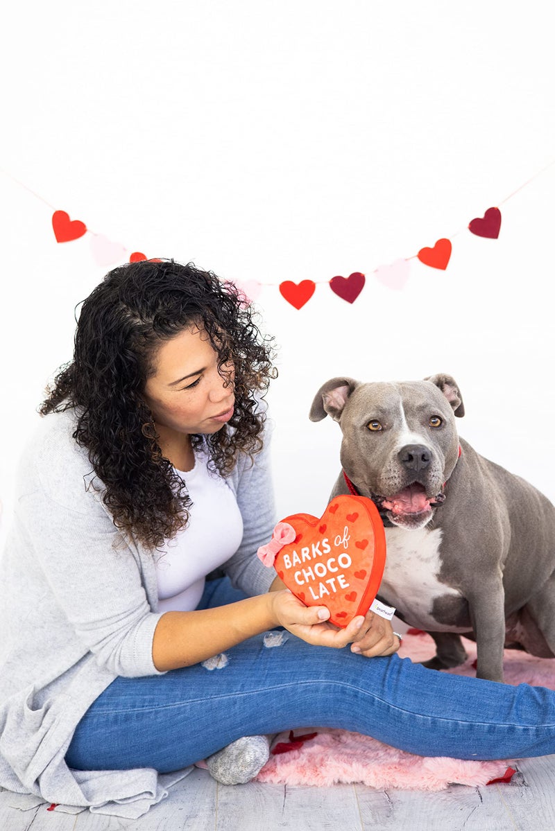Pearhead Valentineâ€™s Day Plush Dog Toy â€“ Barks of Chocolate Box Squeaky & Crinkle Stuffed Dog Toy, Interactive for Dogs - Image 4