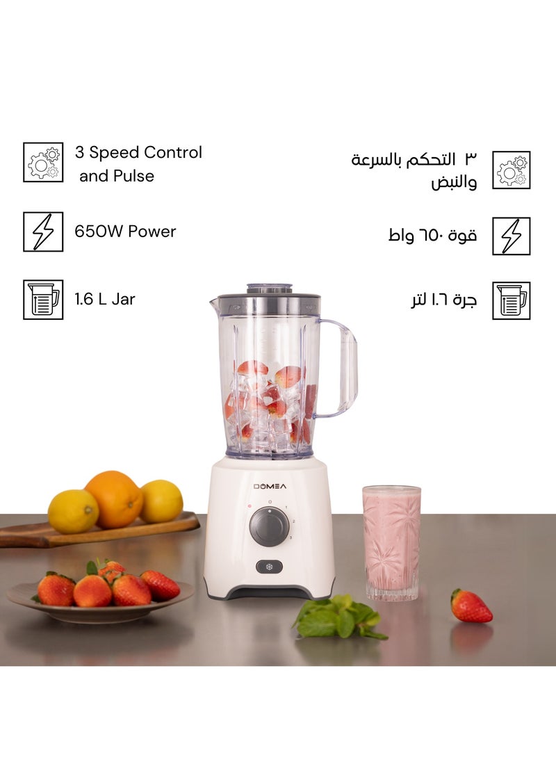 DOMEA - 2-in-1 Blender & Grinder, 650W High-Speed Motor, 1.6L Juice Blender Jar + 300 ml Grinder Jar, 2-Speed + Pulse Function, Stainless Steel Blade, Ice Crushing, Coffee Grinding, Countertop Blender - Image 1