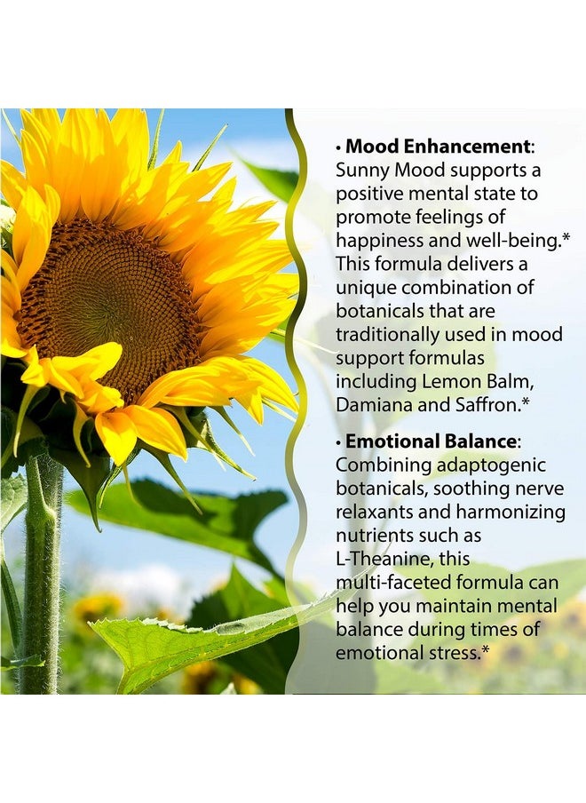 Irwin Naturals Sunny Mood 75 Sgels  - Image 5