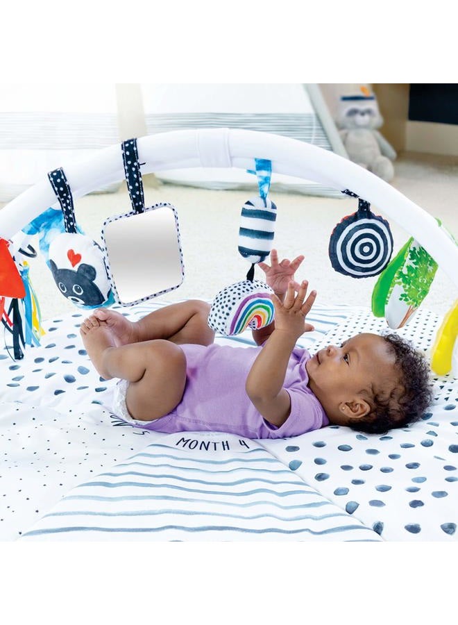 Sassy Stages STEM Developmental Play Gym, Sensory Tummy Time Activity Play Mat w/Built-in Instructions, Ultra Plush & Machine Washable Playmat for Babies & Toddlers, 0+ Months - Image 3