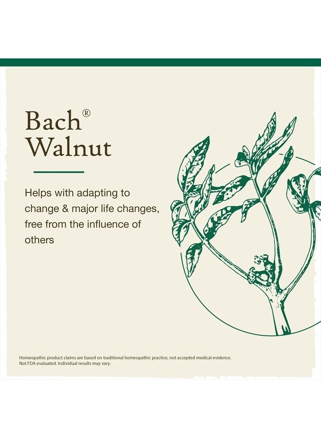Bach علاجات الزهور الأصلية، الجوز للتكيف مع التغيير، جوهر زهري طبيعي هوموباثي، رفاهية شاملة وتخفيف التوتر، نباتي، 20 مل قطارة - Image 3