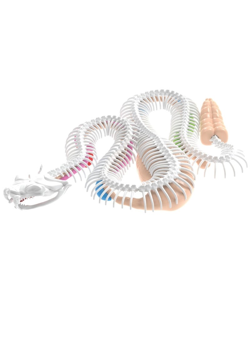 Slimy Dissect-It Giftbox Rattlesnake Super Lab Synthetic Dissection Science Experiment Kit with Tools and Refill, Learning and Exploration Gift for Little Scientist Ages 6+ Years - Image 2