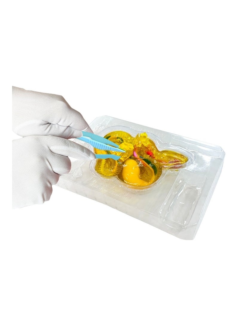 Slimy Dissect-It Giftbox Rattlesnake Super Lab Synthetic Dissection Science Experiment Kit with Tools and Refill, Learning and Exploration Gift for Little Scientist Ages 6+ Years - Image 3
