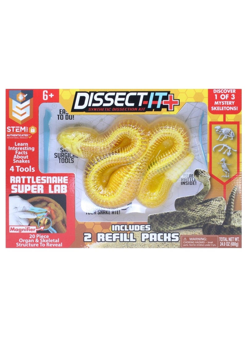 Slimy Dissect-It Giftbox Rattlesnake Super Lab Synthetic Dissection Science Experiment Kit with Tools and Refill, Learning and Exploration Gift for Little Scientist Ages 6+ Years - Image 4
