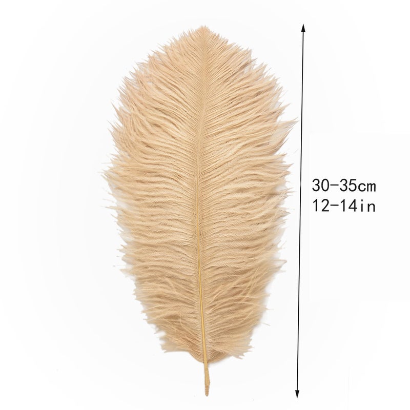 Ballinger Champagne Ostrich Feathers Bulk - 12Pcs 12-14inch Large Boho Feathers for Vaseï¼ŒWedding Party Centerpieces Home and Pampas Grass Decor - Image 4