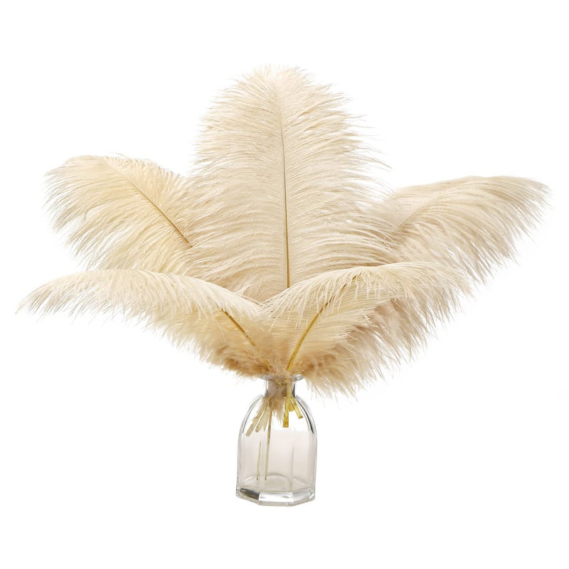 Ballinger Champagne Ostrich Feathers Bulk - 12Pcs 12-14inch Large Boho Feathers for Vaseï¼ŒWedding Party Centerpieces Home and Pampas Grass Decor - Image 1