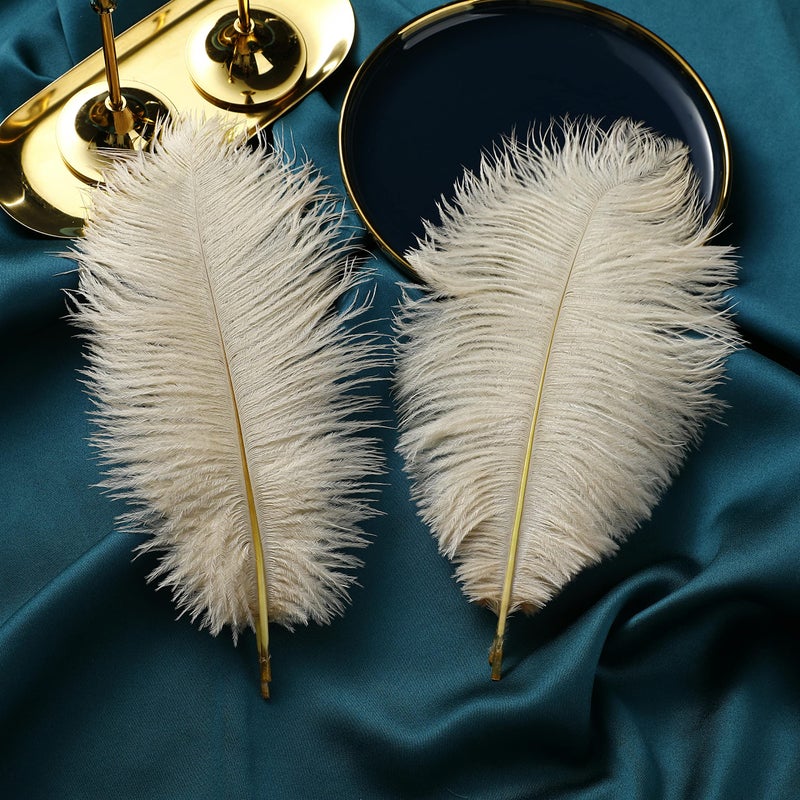 Ballinger Champagne Ostrich Feathers Bulk - 12Pcs 12-14inch Large Boho Feathers for Vaseï¼ŒWedding Party Centerpieces Home and Pampas Grass Decor - Image 2