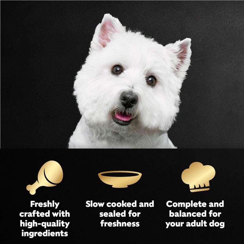 Cesar Filets in Gravy Wet Dog Food Rotisserie Chicken Flavor, Filet Mignon Flavor, and Wood-Grilled Chicken Flavor Variety Pack, 1.76 oz. Mini-Pouches, 40 Pack - Image 2