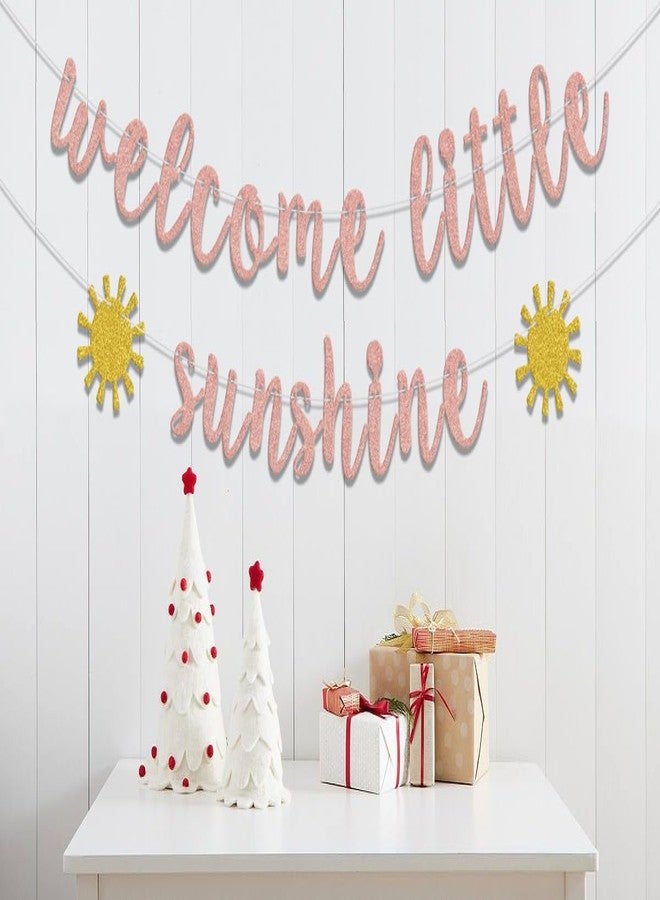 WFKLDF Welcome Little Sunshine Banner, Sunshine Baby Shower Party Decorations, Summer Gender Reveal Decor, Sunshine Welcome Baby Shower Birthday Party Supplies - Image 3