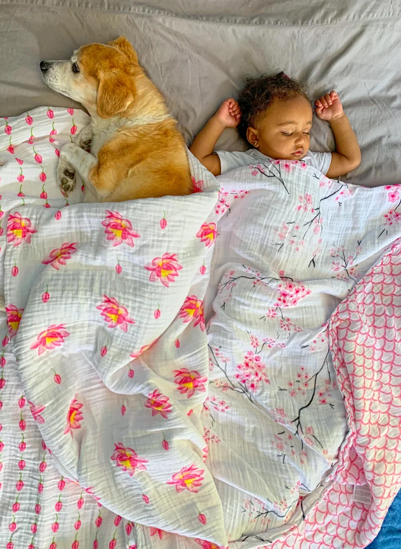 Malabar Baby Organic Muslin Snug Blanket - Cherry Blossom Reversible