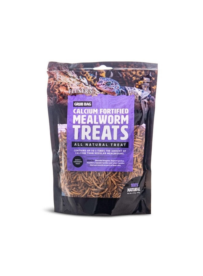 Fluker's Fluker’s Grub Bag All Natural Calcium Fortified Mealworm Treats, Packed with Protein, Rich in Nutrients, A Reptile Favorite, 3 oz - Image 1