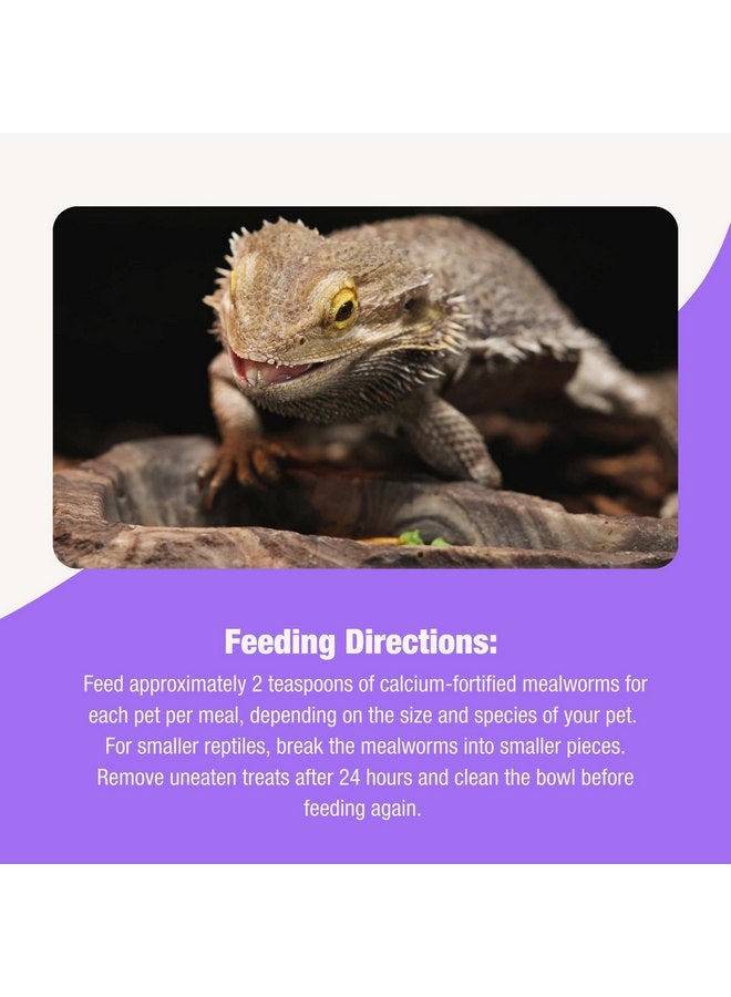 Fluker's Fluker’s Grub Bag All Natural Calcium Fortified Mealworm Treats, Packed with Protein, Rich in Nutrients, A Reptile Favorite, 3 oz - Image 4