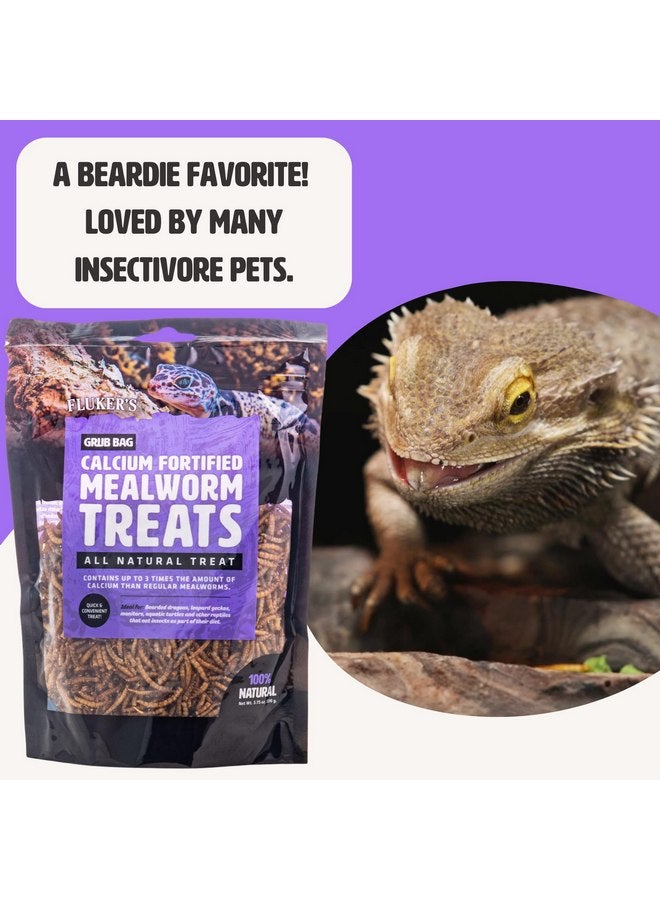 Fluker's Fluker’s Grub Bag All Natural Calcium Fortified Mealworm Treats, Packed with Protein, Rich in Nutrients, A Reptile Favorite, 3 oz - Image 5