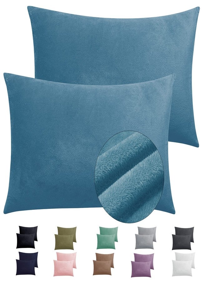 TELUS 2 Pack Zippered Velvet Standard Pillowcases, Super Soft and Cozy Luxury Fuzzy Flannel Pillow Cases with Zipper, 20x26 Inches, Light Blue - Image 1