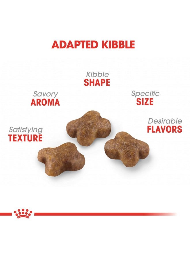 رويال كانين طعام القطط الجاف من Feline Health Nutrition Kitten، كيس 7 رطل - Image 2